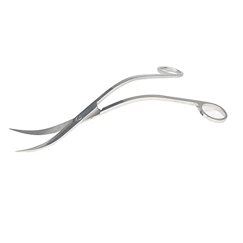 BROPC Stainless Steel Mirror Wave Scissors - 9.8" Aquarium Scissors for Saltwater and Freshwater Plant Trimming and Maintenance