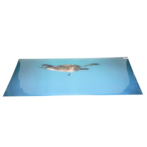 Aquarium Background Paper PVC Self Adhesive 3D Effect Fish Tank Decoration Poster, HD Lifelike Deep Sea Animal Design, Non Sticker for Freshwater (122 * 50CM) - size: 122*50CM