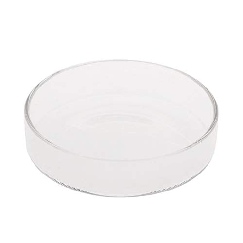 Shrimp Feeding Dish Clear Glass Bowls 3.9" 5" 2" 2.4" Round Tray Fish Tanks Aquarium Feeders Food B Cup Dish - size: S