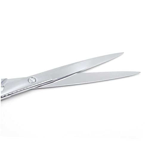 25CM Stainless Steel Aquarium Scissors Long Handle Straight Trimming Shears for Aquatic Plants Mirror Polished Suitable for Freshwater and Saltwater Use