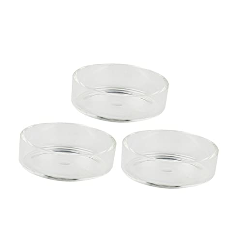 GANAZONO 5pcs Crystal Shrimp Feeding Bowl Round Transparent Feeder Dish for Shrimp Fish and Reptiles Durable Aquarium Supplies for Beautiful Tank Decoration - size: Size 2