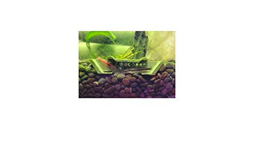 Shrimp Champ: Ultimate Shelter, Breeding Area and Hideout for Cherry Shrimp, African Dwarf Frogs and Small Aquatic Creatures - Natural Look, Safe, Eco-Friendly (2 Pack) - style: Shrimp Champ 2 Pack