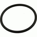 Generic Commander Filter Lid O-Ring, Black, Rubber, 1 Count