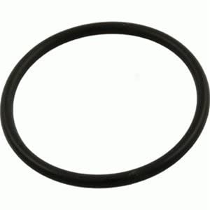 Generic Commander Filter Lid O-Ring, Black, Rubber, 1 Count