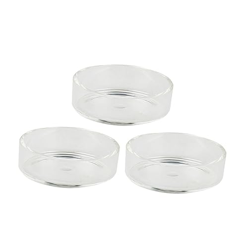 BESPORTBLE 3pcs Crystal Shrimp Feeding Bowl Durable Transparent Glass Shrimp Food Dish for Aquariums for Fish and Reptiles Enhances Tank Aesthetics