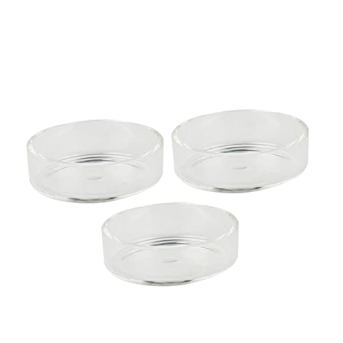 Kisangel 3pcs Round Glass Shrimp Feeding Dish Crystal Shrimp Food Basin for Aquarium Durable Feeder Bowl for Fish and Reptiles Tank Ornament and Supplies - size: Size 1