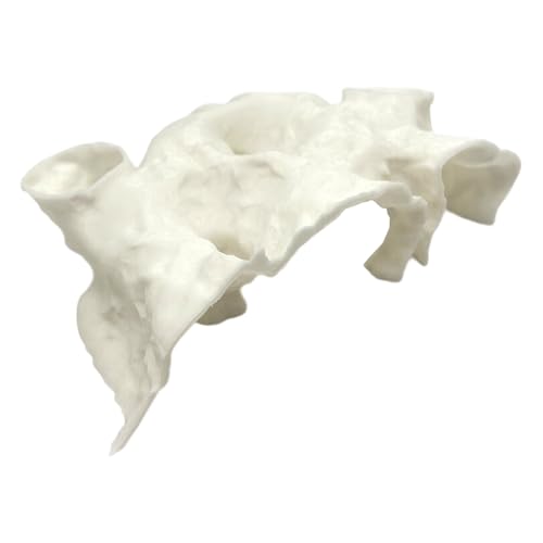 Aquarium Decor, Natural Under Gravel Tunnel Cave,Crystal Shrimp with Wide Tunnel Openings,Tanks Ornament, Safe Hideaway for Territorial Fish Species Natural Aquariums Rock Cave - color: White