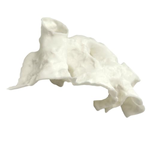 Natural Textured Shrimp Cave Ornament with Observation Holes, Safe Hideaway for Territorial Fish Species Fish Hiding House