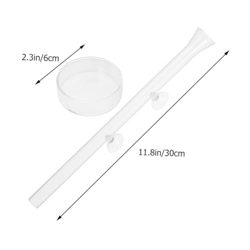 DOITOOL Shrimp Feeder Tube with Feeding Dish, Crystal Glass Aquarium Feeder, 30cm Fish Tank Accessory for Aquarium Shrimp Feeding