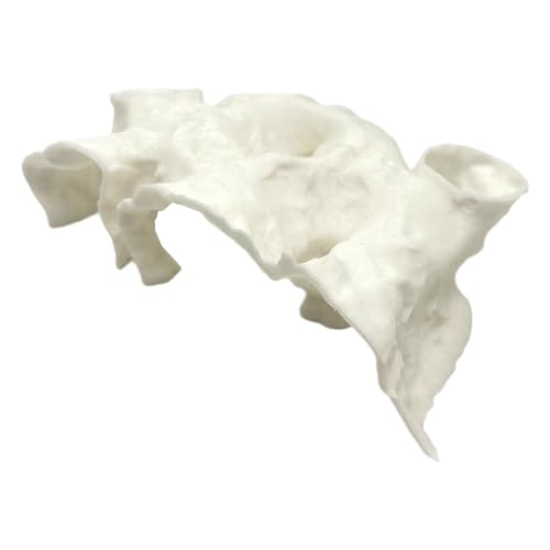 Natural Textured Shrimp Cave Ornament with Observation Holes, Safe Hideaway for Territorial Fish Species Fish Hiding House