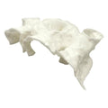 Natural Textured Shrimp Cave Ornament with Observation Holes, Safe Hideaway for Territorial Fish Species Fish Hiding House