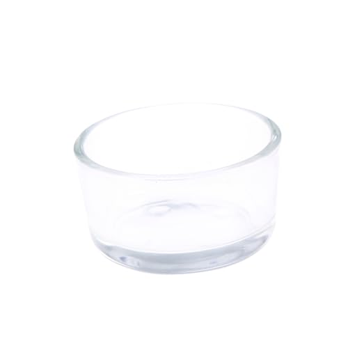 Totority Clear Glass Reptile Feeder Bowl Durable Round Dish for Fish and Reptile Food Smooth Design for Tank Aesthetics Feeding for Lizards and Shrimp