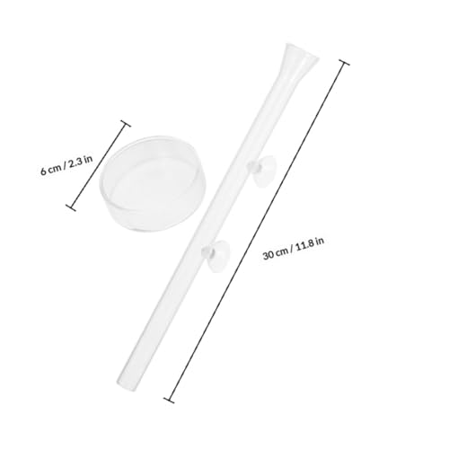 DOITOOL Shrimp Feeder Tube with Feeding Dish, Crystal Glass Aquarium Feeder, 30cm Fish Tank Accessory for Aquarium Shrimp Feeding