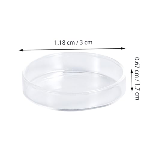 BESPORTBLE 1pc Glass Shrimp Feeding Bowl Round Dish for Fish Tank Glass Feeder for Shrimp and Reptiles Elegant and Aquarium Supply