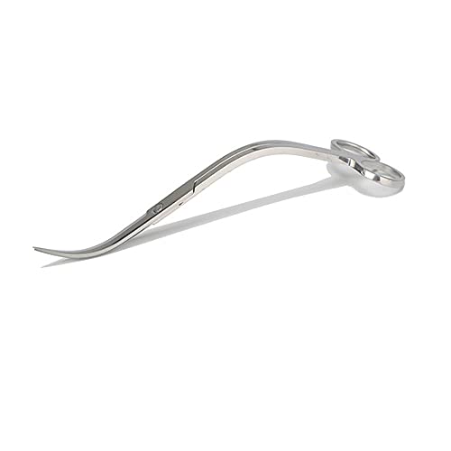 BROPC Stainless Steel Mirror Wave Scissors - 9.8" Aquarium Scissors for Saltwater and Freshwater Plant Trimming and Maintenance