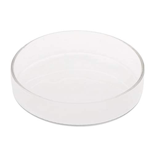 Aquarium Fish Tank Shrimp Feeding Food Dish Bowl Feeder Tray Container Glass Shrimp Feeding Dish for Shrimp Food (9cm/3.54in)