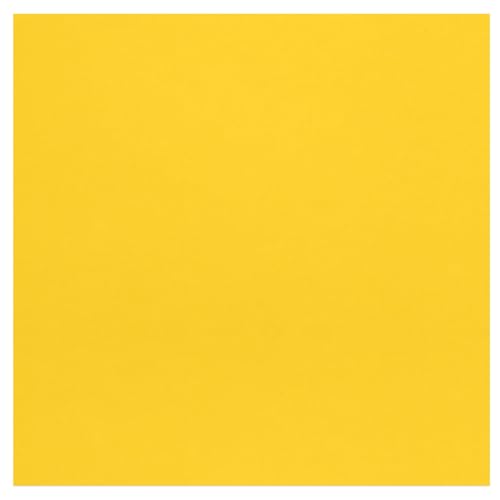 Accent Design Paper Accents Cardstock Stash Builder, Raincoat Yellow, 12"x12", 65lb, 25pc - Vibrant Card Stock for Crafts, Colored Cardstock Paper, and Assorted Paper Colors - color: Raincoat Yellow UPC