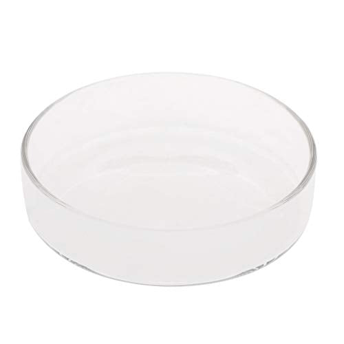 Shrimp Feeding Dish Clear Glass Bowls 3.9" 5" 2" 2.4" Round Tray Fish Tanks Aquarium Feeders Food B Cup Dish - size: L
