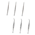 6pcs Succulent Bonsai Cactus Tweezer Curved Reptile Accessories Grass Garden Reptile Feeding Aquascaping Tools Pliers Tool Flowerpot Stainless Steel Clip