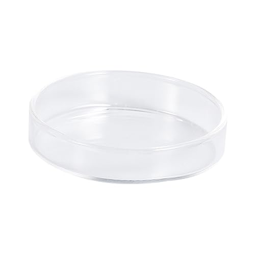 BESPORTBLE 1pc Glass Shrimp Feeding Bowl Round Dish for Fish Tank Glass Feeder for Shrimp and Reptiles Elegant and Aquarium Supply
