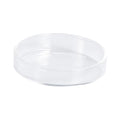 BESPORTBLE 1pc Glass Shrimp Feeding Bowl Round Dish for Fish Tank Glass Feeder for Shrimp and Reptiles Elegant and Aquarium Supply