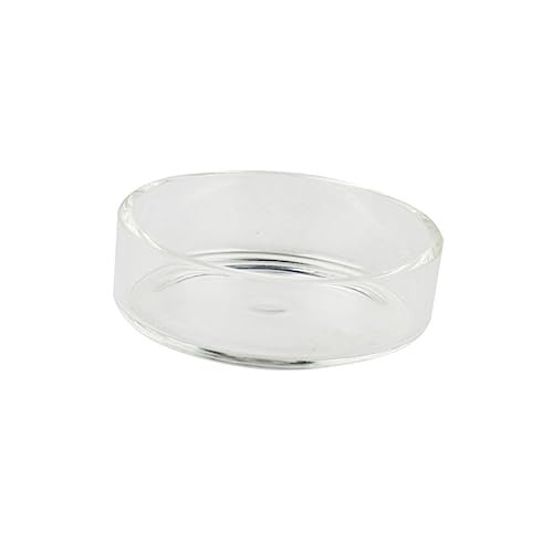 BESPORTBLE 3pcs Crystal Shrimp Feeding Bowl Durable Transparent Glass Shrimp Food Dish for Aquariums for Fish and Reptiles Enhances Tank Aesthetics