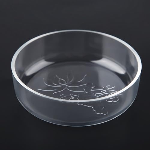Acrylic Shrimp Feeding Dish – Flower Design Aquarium Food Bowl for Small Reptiles, Easy Clean Fish Tank Feeder Tray