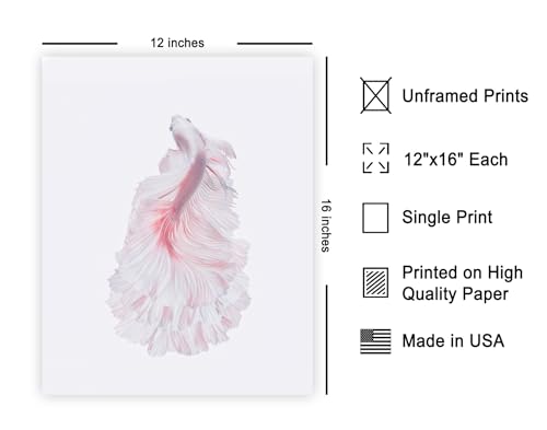 Monem Art Siamese Fighting Fish Print - The White Dress Poster - Marine Life Art - Animal Photography Wall Decor - Living Room or Office Decor - 12x16 Unframed Wall Art by Andi Halil - color: Style-02, size: 12"L x 16"W