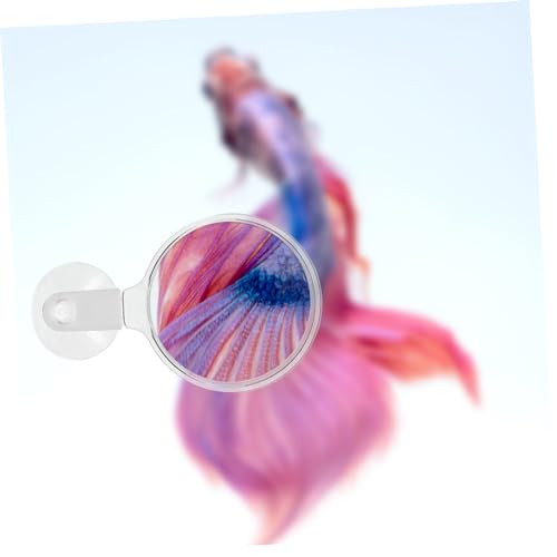 Aquarium Glass Cup Multifunctional Viewer for Small Fish Plants and -Landscapes for Detailed Observation Fish Tanks