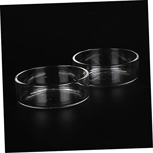 BESPORTBLE 3pcs Crystal Shrimp Feeding Bowl Durable Transparent Glass Shrimp Food Dish for Aquariums for Fish and Reptiles Enhances Tank Aesthetics