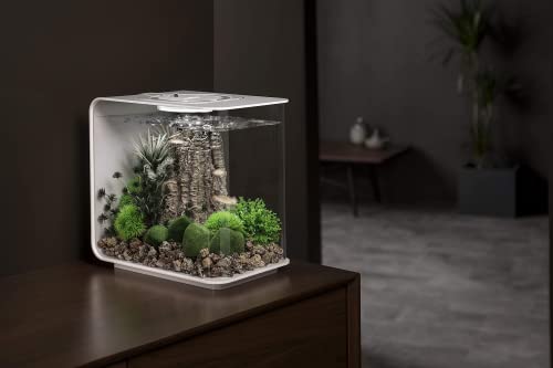 biOrb Flow 15 Acrylic 4-Gallon Aquarium with Multi-Color Remote-Controlled LED Lights Modern Compact Tank for Tabletop or Desktop Display, Black - color: Black with MCR Lighting, size: 4 Gallon