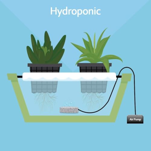 SLOCME 4 Inch Aquarium Air Stone 2 Pack – Round Oxygen Diffuser with Suction Cups, Produces Fine Bubbles for Fish Tank, Hydroponics & Aquatic Plants