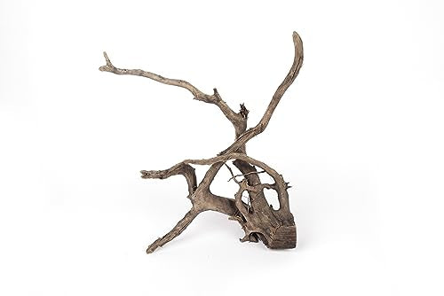 LANDEN Natural Spider Wood Aquarium Decorative Fish Tank Decorations, Driftwood Branches (12-16 Inch, XL) 4 Pcs - size: XL(12~16 inches, 30-40cm), 4pcs