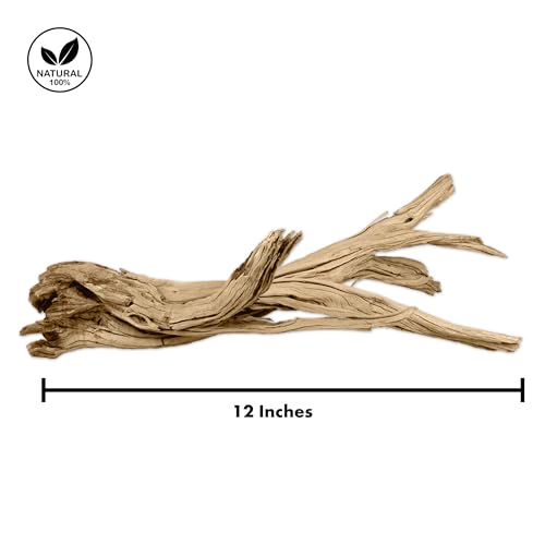 Koyal Wholesale 12” Driftwood Terrarium Decor, Clean California Manzanita Drift Wood Reptile Decor, Driftwood Decor for Home, Desert Reptile Supplies