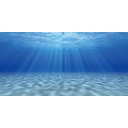 AWERT Undersea Aquarium Background Sunshine Underwater Ocean Floor Fish Tank Background 48x20 inches Polyester Background - size: 48 x 20 inches