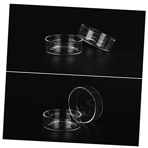 BESPORTBLE 3pcs Crystal Shrimp Feeding Bowl Durable Transparent Glass Shrimp Food Dish for Aquariums for Fish and Reptiles Enhances Tank Aesthetics