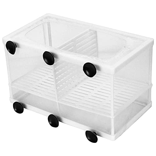Fish Breeding Aquarium Box, Multifunctional Fish Breeder Box for Small Fish, Large with Partition - size: Large with partition