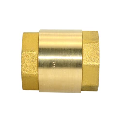 DAN SPEED Brass Check Valve,Female Thread Spring Check Valve,One Way Horizontal Check Valves for Backflow Prevention,Well, Pump, Tank ((DN25) 1'')