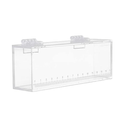 Gazechimp Fishing Photo Tank Fish Viewing Box Acrylic Hatching Incubator Clear Micro Landscape Fish Tank Fish Breeder Isolation Breeder Box with Scale, L