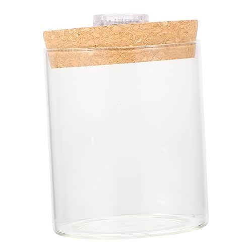 Ciieeo Cylinder High Borosilicate Glass Moss Plant Bottle Creative DIY Microlandscape Terrarium Holder for Indoor Decoration Mini Fish Tank - size: 9.50X6.20X6.20CM