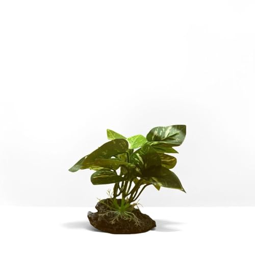 JGbaby Artificial Aquarium Plants,Fish Tank Decorations Betta Leaf Hammock 4in Realistic Silk & Plastic Plants, Hideout Decor for Betta. Goldfish,Reptiles,Small Tanks (Green Type-D) - color: Green Type-d, size: 4 inches