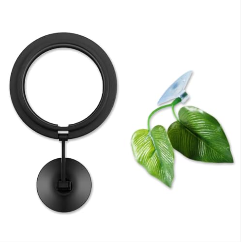 Betta Fish Toys Interactive Betta Ring and Leaf Hammocks Small Tank Accessories Feeding Spot and Resting Bed Breeding Ground Black Circle Fish Feeder with Suction Cups for Aquariums