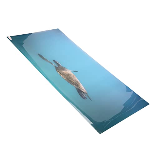 Aquarium Background Paper PVC Self Adhesive 3D Effect Fish Tank Decoration Poster, HD Lifelike Deep Sea Animal Design, Non Sticker for Freshwater (61 * 30CM) - size: 61*30CM