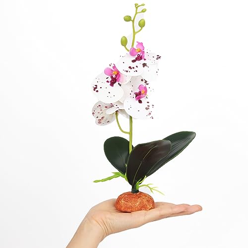 Fake Orchids Artificial Flowers, Reptile Terrarium Decor Plants, Bearded Dragon Tank Accessories fit Crested Gecko Leopard Lizard Chameleon Ball Python Snake Frog - Spotted - color: Spotted