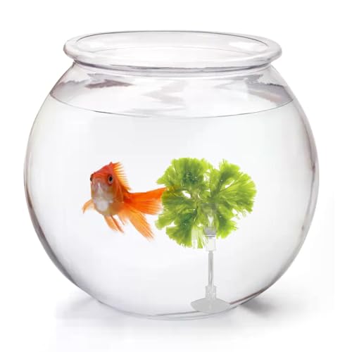 6 Pack Aquarium Suction Cups with Clips, Fishes Veggie Seaweed Plant Suction Cup Clip, Fish Feeding Tool, Fresh Food Feed Holder for Fish, Shrimp & Aquatic Pets and Fish Tank