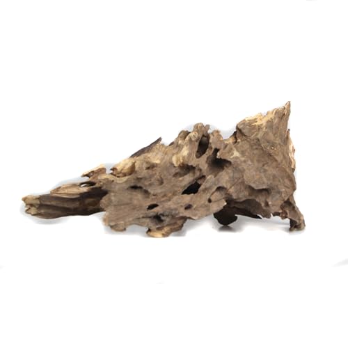 emours Driftwood Branches Reptiles Aquarium Decoration Assorted Size,(5.5-8 inch in Length),4 Pieces (Shrimp Wood)