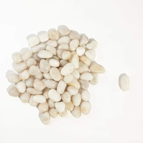 6 LBS River Rocks, StoneCreek, Decorative Garden Stones for Plant Landscaping, Polished Gravel Filler Pebbles for Home Decoration, Vases, Succulents, Flower Beds and Fish Tanks (White, Medium) - color: White, size: 6 LBS