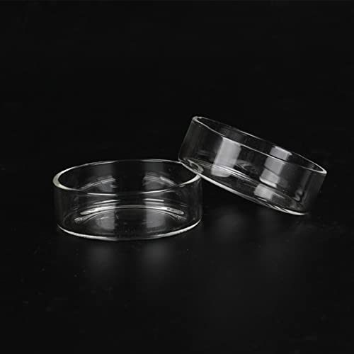 Kisangel 5pcs Round Shrimp Food Basin Crystal Feeding Dish for Shrimp Fish and Reptiles Durable Aquarium Ornament with Transparent Design for Enhanced Tank Aesthetics - size: Size 2