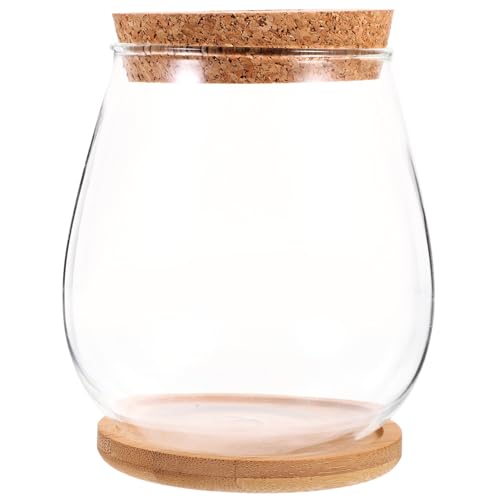 Milisten Hydroponic Glass Planter Vase with Tray 4.52X4.52X4.92In Transparent Diy Micro Landscape Bottle for Indoor Outdoor Plant Display and Home Garden Decoration