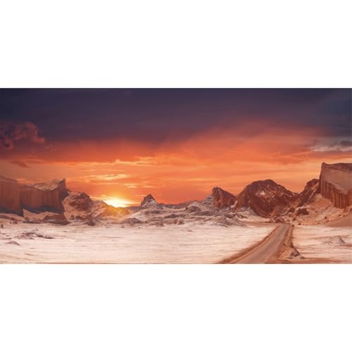 AWERT 48x20 inches Sun and Desert Terrarium Background Orange Reptile Habitat Background Durable Polyester Background - size: 48x20in/120x50cm